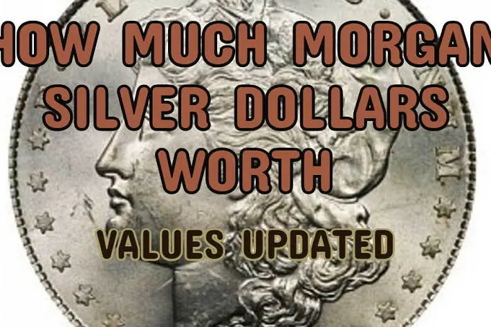 1900 Morgan Silver Dollar Value (Price Chart, Error List, History &  Varieties)