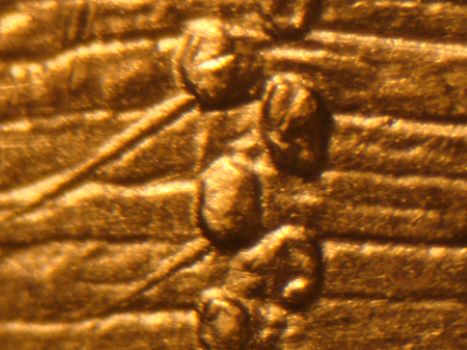 2009-penny-value